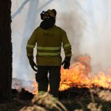 Sapeurs-pompiers luttant contre un incendie en Espagne, mardi. KEYSTONE/EPA/ROMAN RIOS